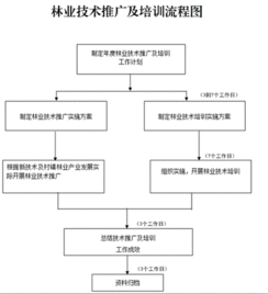 創(chuàng)新林業(yè)技術(shù)推廣培訓(xùn)，助力林業(yè)現(xiàn)代化發(fā)展