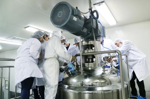 國際技術專家齊聚爾康，共商淀粉膠囊技術應用與推廣新藍圖